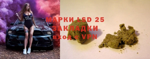 прущие грибы Богородицк