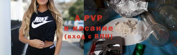 Альфа ПВП Бородино