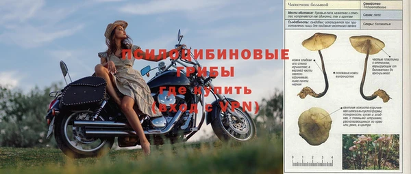 МДМА Богданович